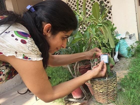 ​How I took my baby steps to grow my own vegetables!